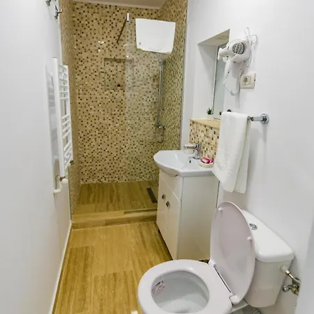 Guest house Casa Andrei & Alex 3*