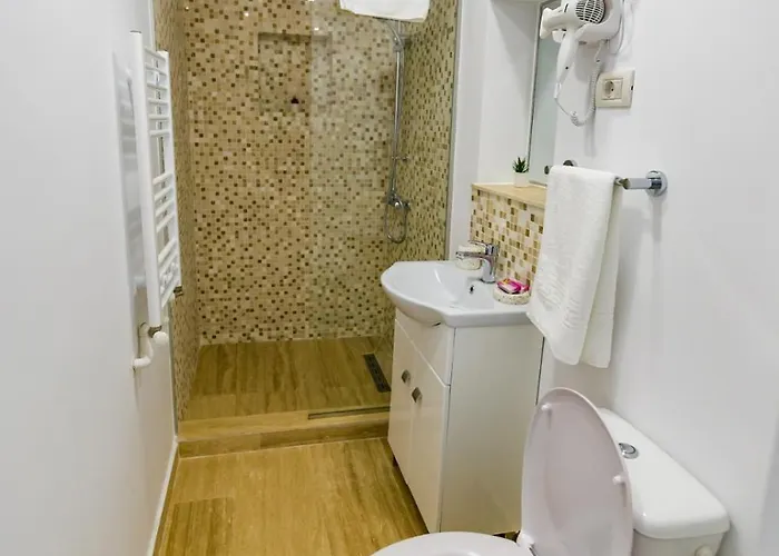 Guest house Casa Andrei & Alex 3*